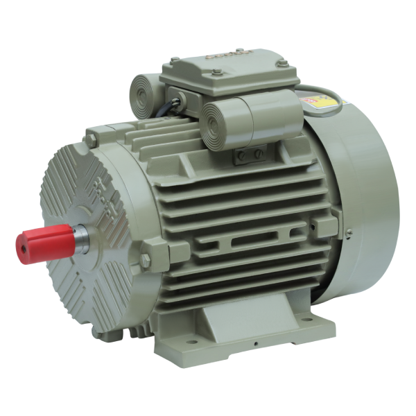 Induction Motors